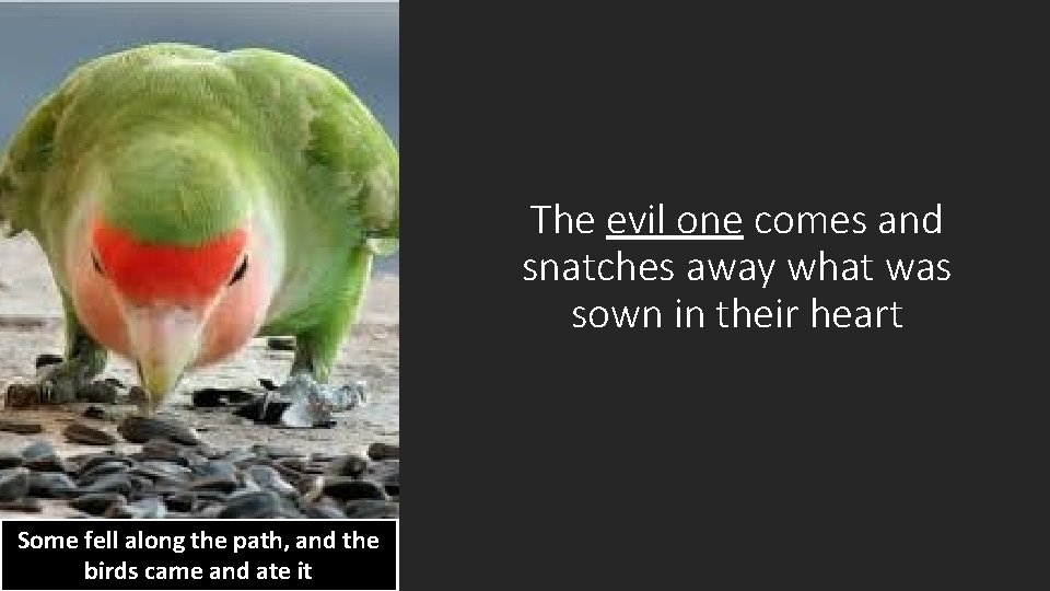 The evil one comes and snatches away what was sown in their heart Some
