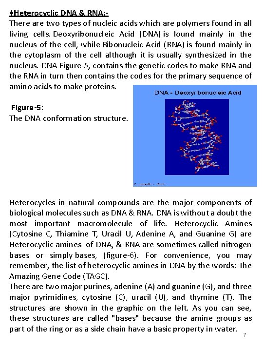 ♦Heterocyclic DNA & RNA: There are two types of nucleic acids which are polymers ♦Heterocyclic DNA & RNA: There are two types of nucleic acids which are polymers