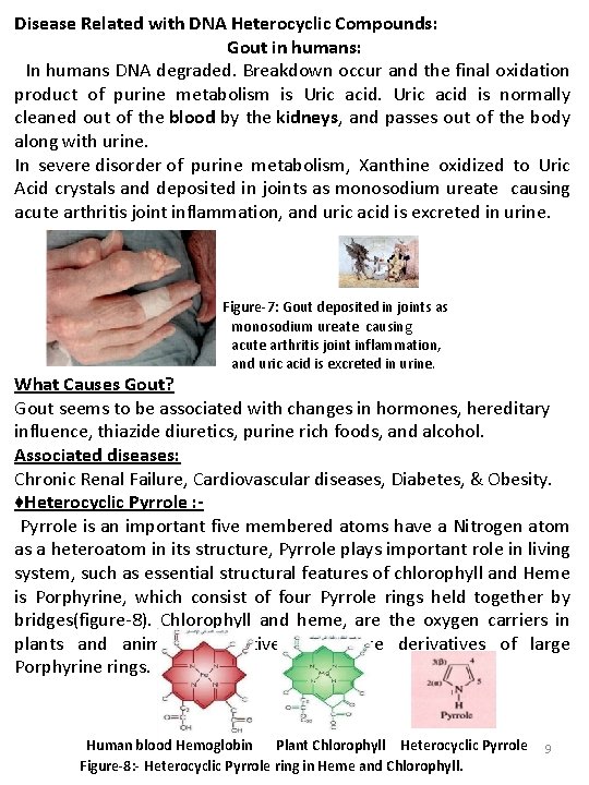 Disease Related with DNA Heterocyclic Compounds: Gout in humans: In humans DNA degraded. Breakdown Disease Related with DNA Heterocyclic Compounds: Gout in humans: In humans DNA degraded. Breakdown