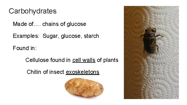 Carbohydrates Made of…. chains of glucose Examples: Sugar, glucose, starch Found in: Cellulose found