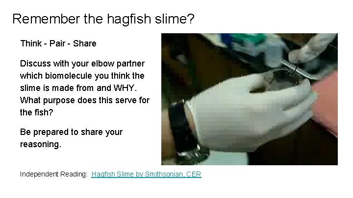 Remember the hagfish slime? Think - Pair - Share Discuss with your elbow partner