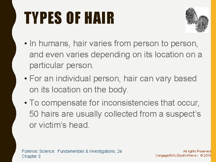 TYPES OF HAIR • In humans, hair varies from person to person, and even