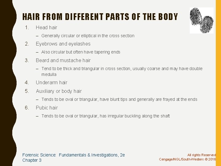 HAIR FROM DIFFERENT PARTS OF THE BODY 1. Head hair – Generally circular or