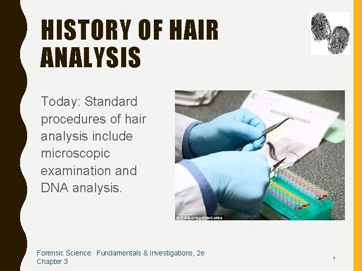 HISTORY OF HAIR ANALYSIS Today: Standard procedures of hair analysis include microscopic examination and