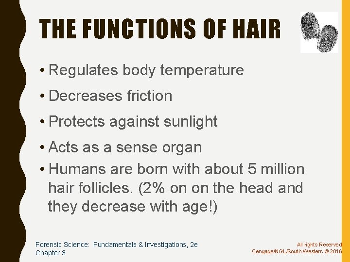 THE FUNCTIONS OF HAIR • Regulates body temperature • Decreases friction • Protects against