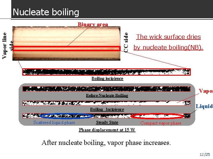 Nucleate boiling CC side Vapor line side Binary area The wick surface dries by