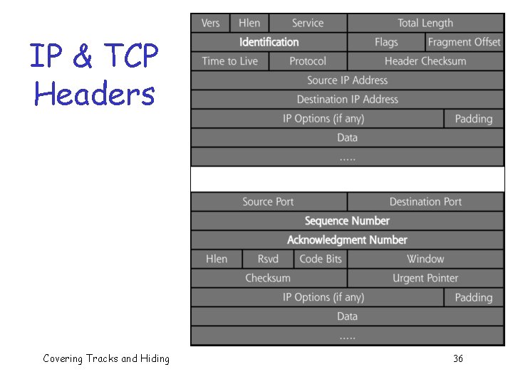IP & TCP Headers Covering Tracks and Hiding 36 IP & TCP Headers Covering Tracks and Hiding 36