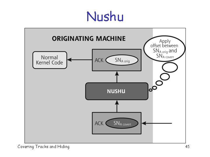 Nushu Covering Tracks and Hiding 45 Nushu Covering Tracks and Hiding 45