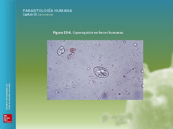 PARASITOLOGÍA HUMANA Capítulo 22. Sarcocistosis Todos los derechos reservados. Mc. Graw-Hill Education LLC Figura