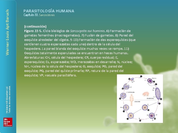 Werner Louis Apt Baruch Todos los derechos reservados. Mc. Graw-Hill Education LLC PARASITOLOGÍA HUMANA