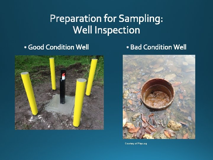 Courtesy of Phys. org 