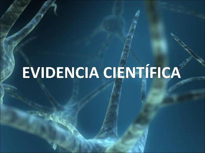 EVIDENCIA CIENTÍFICA 