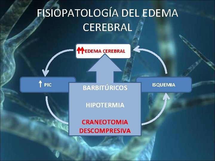 FISIOPATOLOGÍA DEL EDEMA CEREBRAL PIC BARBITÚRICOS HIPOTERMIA CRANEOTOMIA FSC DESCOMPRESIVA ISQUEMIA 
