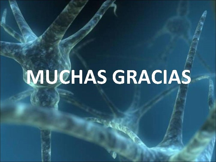 MUCHAS GRACIAS 