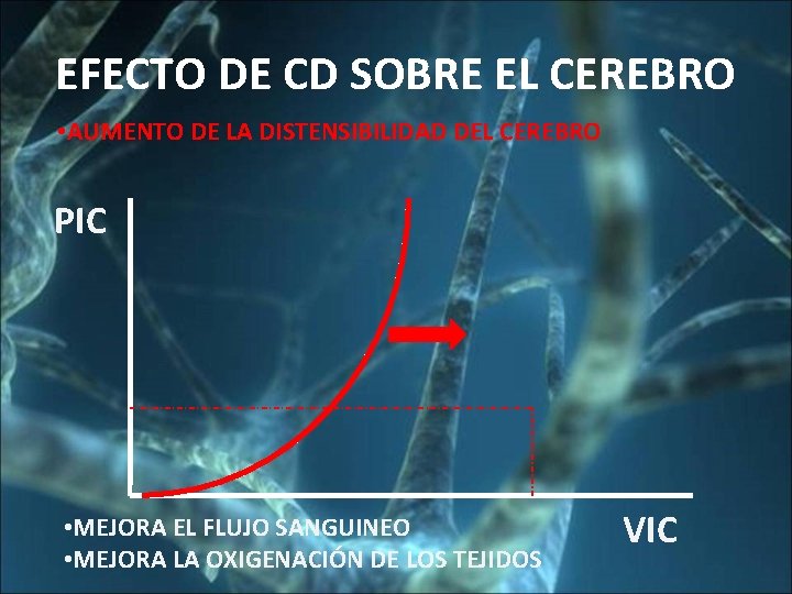 EFECTO DE CD SOBRE EL CEREBRO • AUMENTO DE LA DISTENSIBILIDAD DEL CEREBRO PIC