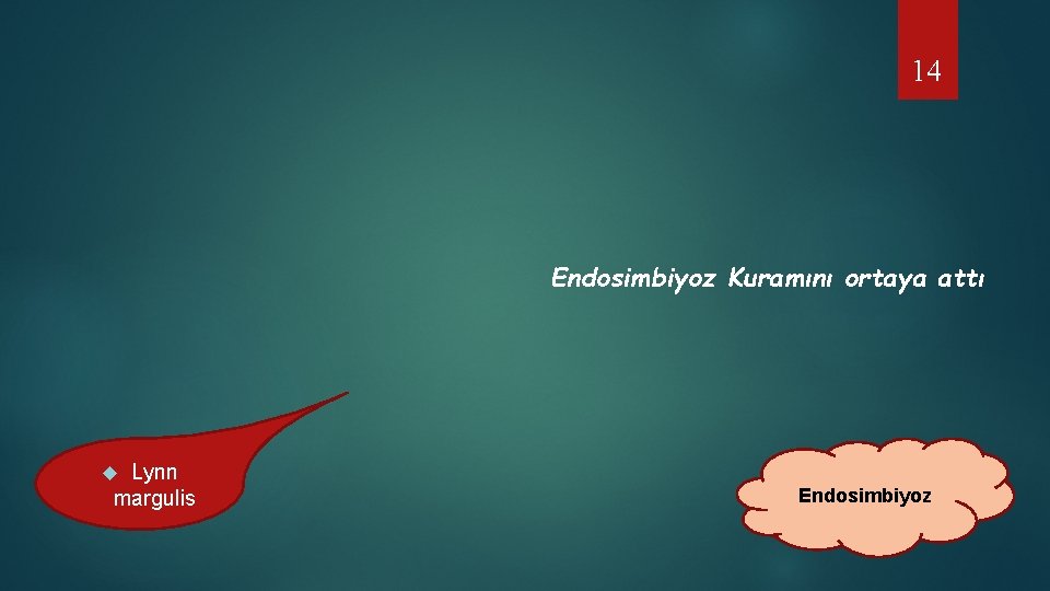 14 Endosimbiyoz Kuramını ortaya attı Lynn margulis Endosimbiyoz 