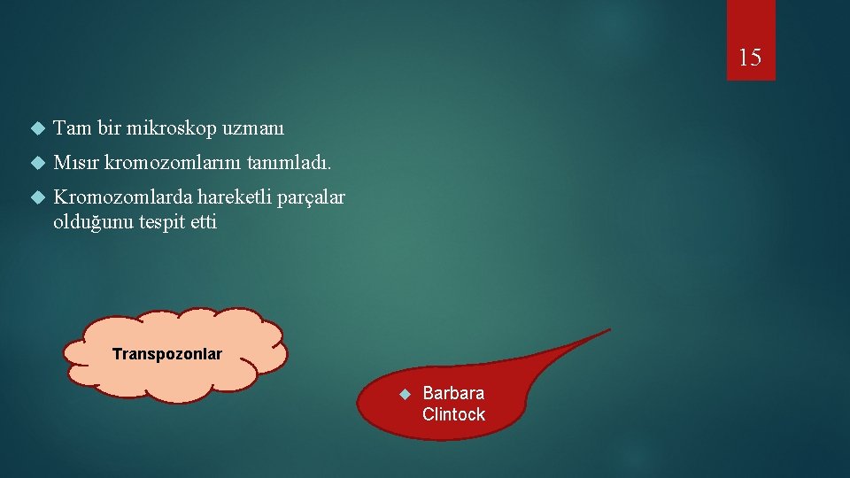15 Tam bir mikroskop uzmanı Mısır kromozomlarını tanımladı. Kromozomlarda hareketli parçalar olduğunu tespit etti