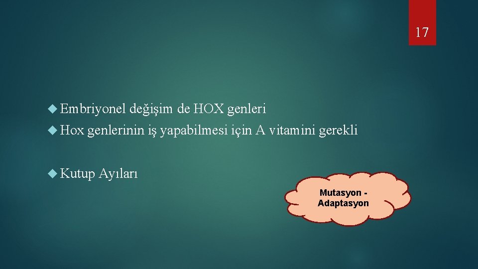 17 Embriyonel değişim de HOX genleri Hox genlerinin iş yapabilmesi için A vitamini gerekli