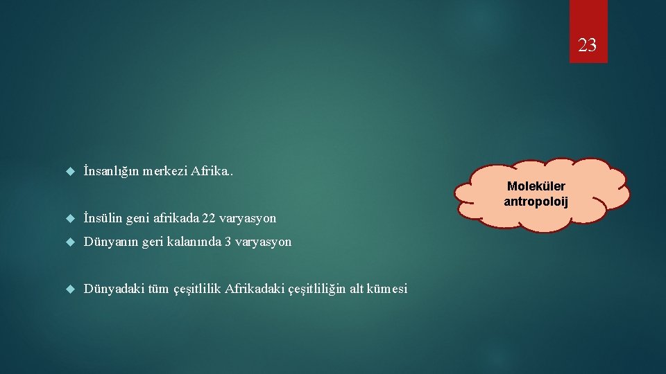 23 İnsanlığın merkezi Afrika. . Moleküler antropoloij İnsülin geni afrikada 22 varyasyon Dünyanın geri