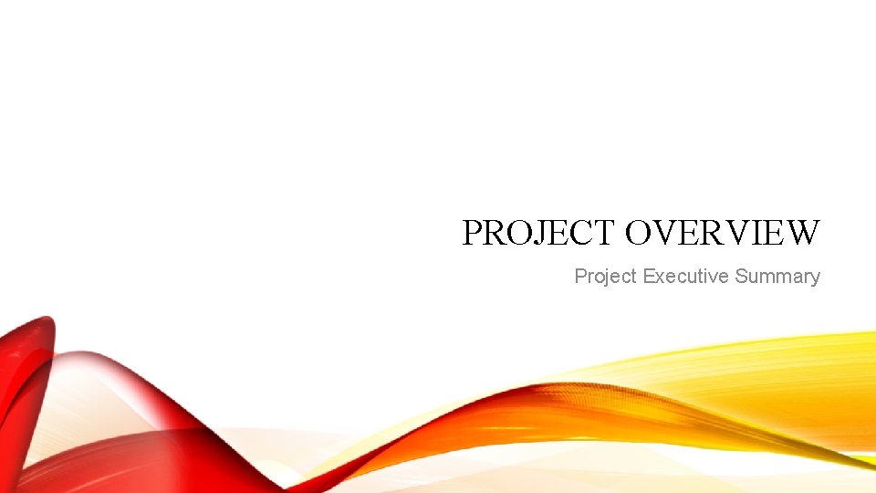 PROJECT OVERVIEW Project Executive Summary PROJECT OVERVIEW Project Executive Summary