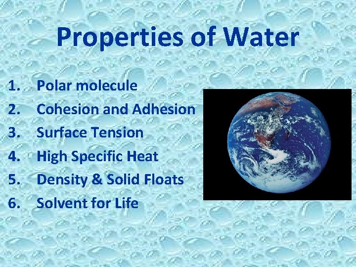 Properties of Water 1. 2. 3. 4. 5. 6. Polar molecule Cohesion and Adhesion