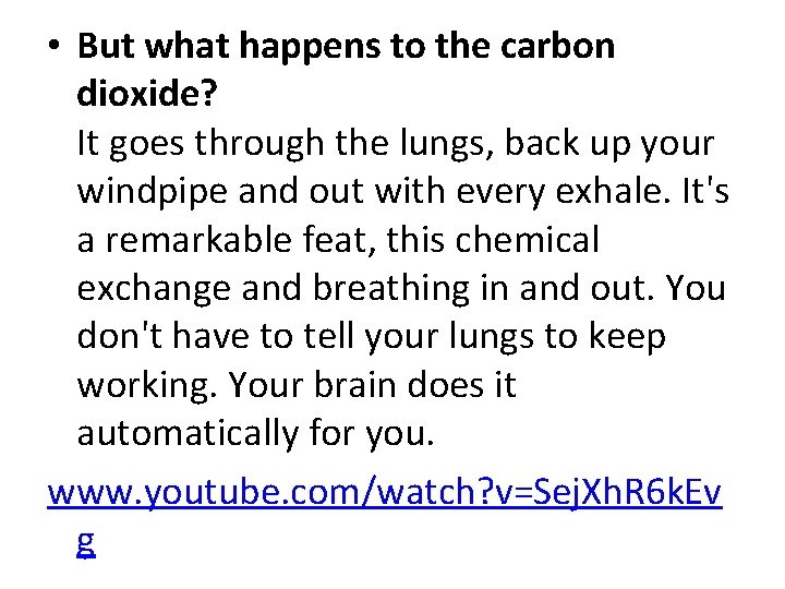 • But what happens to the carbon dioxide? It goes through the lungs, • But what happens to the carbon dioxide? It goes through the lungs,