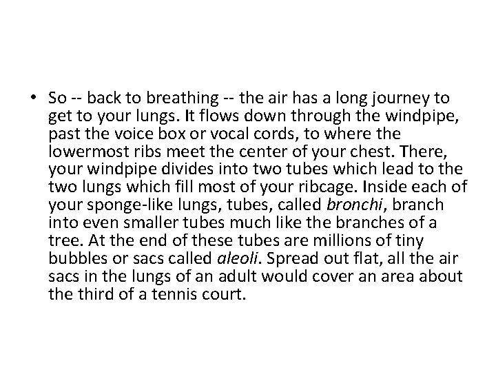 • So -- back to breathing -- the air has a long journey • So -- back to breathing -- the air has a long journey