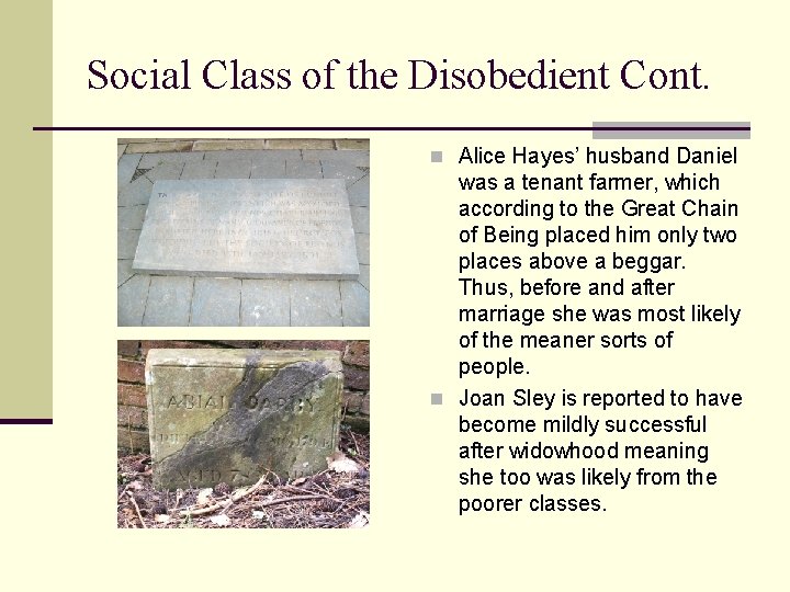 Social Class of the Disobedient Cont. n Alice Hayes’ husband Daniel was a tenant