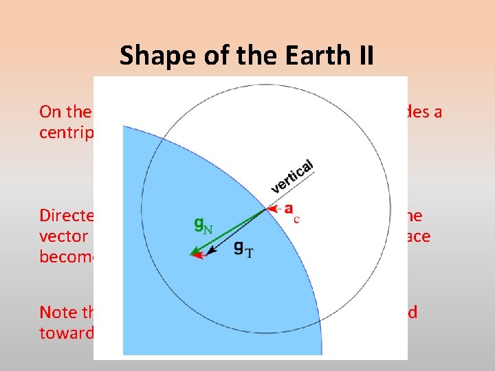Shape of the Earth II On the rotating Earth, Newtonian gravity provides a centripetal