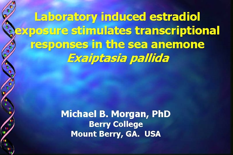Laboratory induced estradiol exposure stimulates transcriptional responses in the sea anemone Exaiptasia pallida Michael