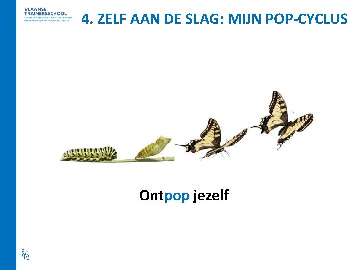 4. ZELF AAN DE SLAG: MIJN POP-CYCLUS Ontpop jezelf 