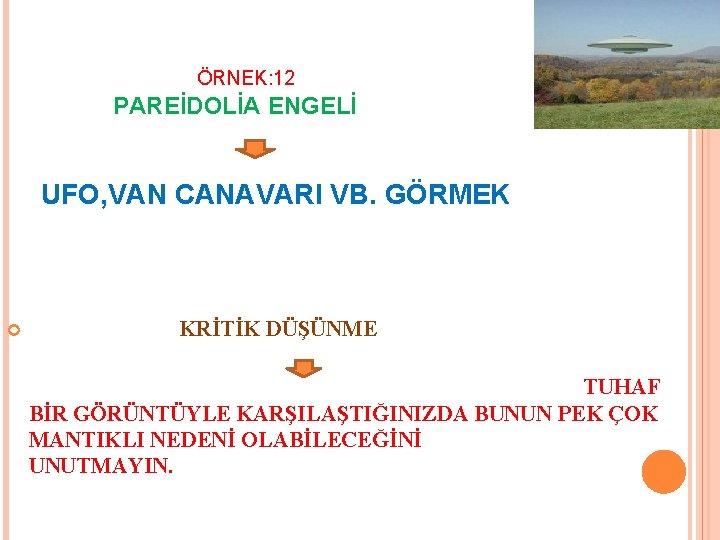 ÖRNEK: 12 PAREİDOLİA ENGELİ UFO, VAN CANAVARI VB. GÖRMEK KRİTİK DÜŞÜNME TUHAF BİR GÖRÜNTÜYLE