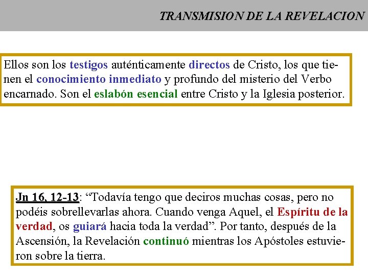 TRANSMISION DE LA REVELACION Ellos son los testigos auténticamente directos de Cristo, los que