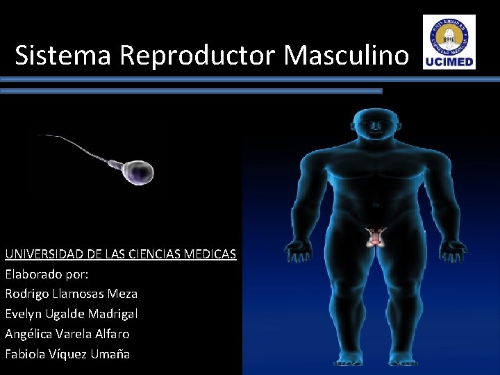 Sistema Reproductor Masculino UNIVERSIDAD DE LAS CIENCIAS MEDICAS Elaborado por: Rodrigo Llamosas Meza Evelyn