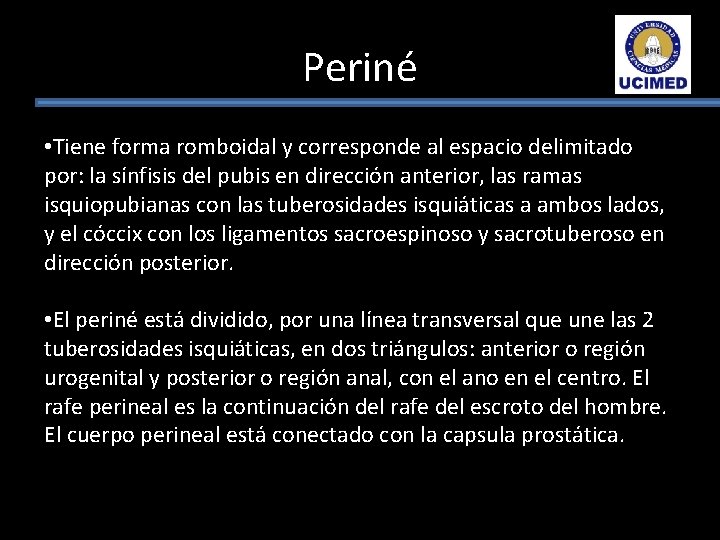 Periné • Tiene forma romboidal y corresponde al espacio delimitado por: la sínfisis del Periné • Tiene forma romboidal y corresponde al espacio delimitado por: la sínfisis del