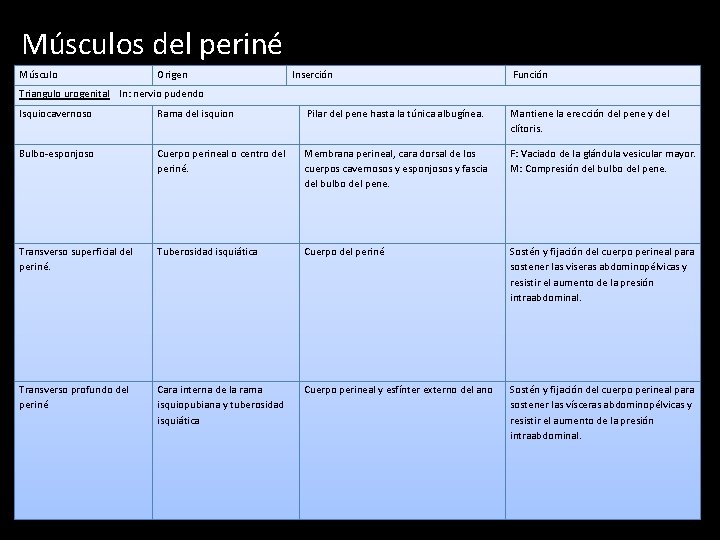 Músculos del periné Músculo Origen Inserción Función Triangulo urogenital In: nervio pudendo Isquiocavernoso Rama