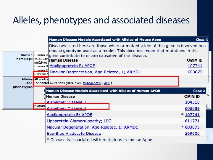 Alleles, phenotypes and associated diseases 16 