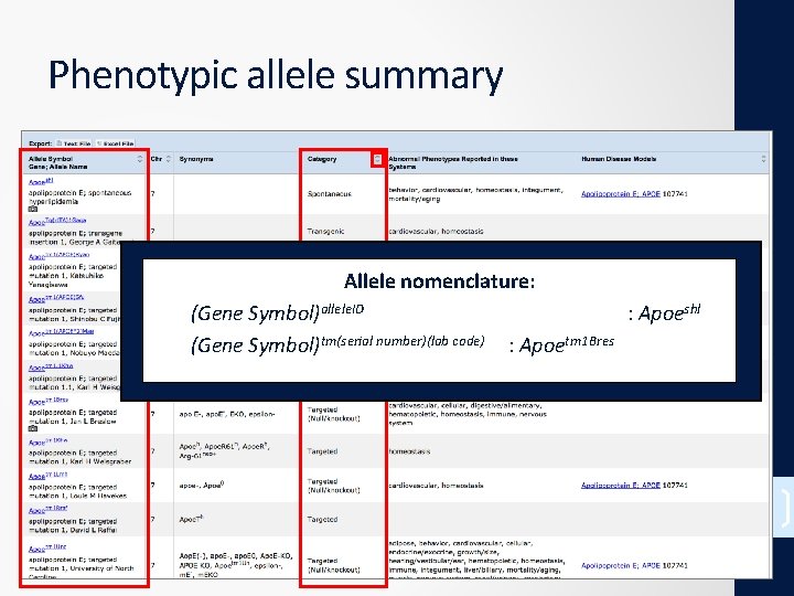 Phenotypic allele summary Allele nomenclature: (Gene Symbol)allele. ID (Gene Symbol)tm(serial number)(lab code) : Apoeshl