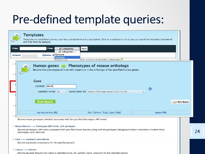 Pre-defined template queries: 24 