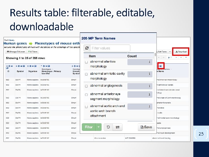 Results table: filterable, editable, downloadable 25 