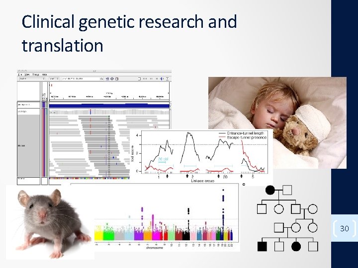 Clinical genetic research and translation 30 