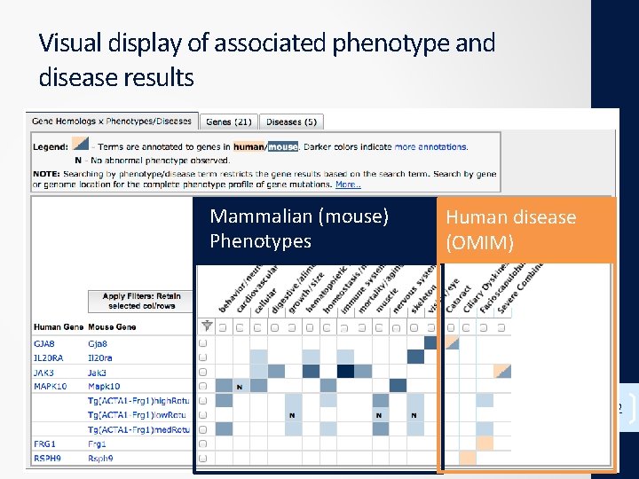 Visual display of associated phenotype and disease results Mammalian (mouse) Phenotypes Human disease (OMIM)