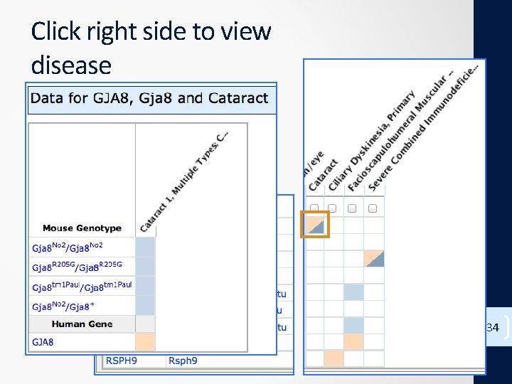 Click right side to view disease 34 