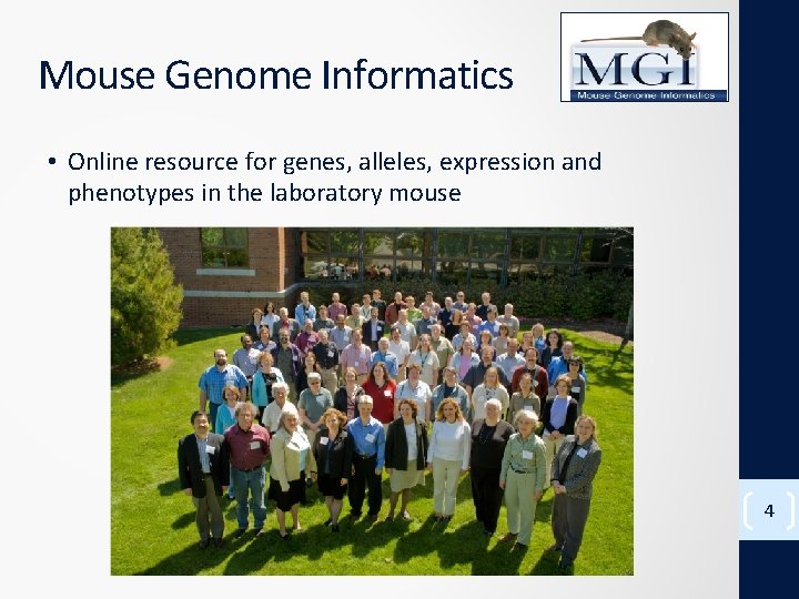 Mouse Genome Informatics • Online resource for genes, alleles, expression and phenotypes in the