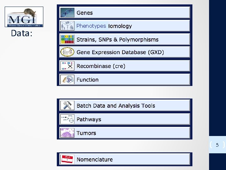 Data: Phenotypes Mutant Alleles 5 