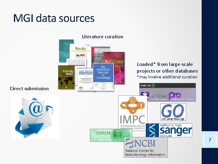 MGI data sources Literature curation Loaded* from large-scale projects or other databases *may involve