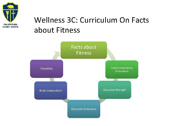 Wellness 3 C: Curriculum On Facts about Fitness Cardiorespiratory Endurance Flexibility Muscular Strength Body
