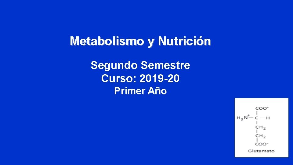 Metabolismo y Nutrición Segundo Semestre Curso: 2019 -20 Primer Año 