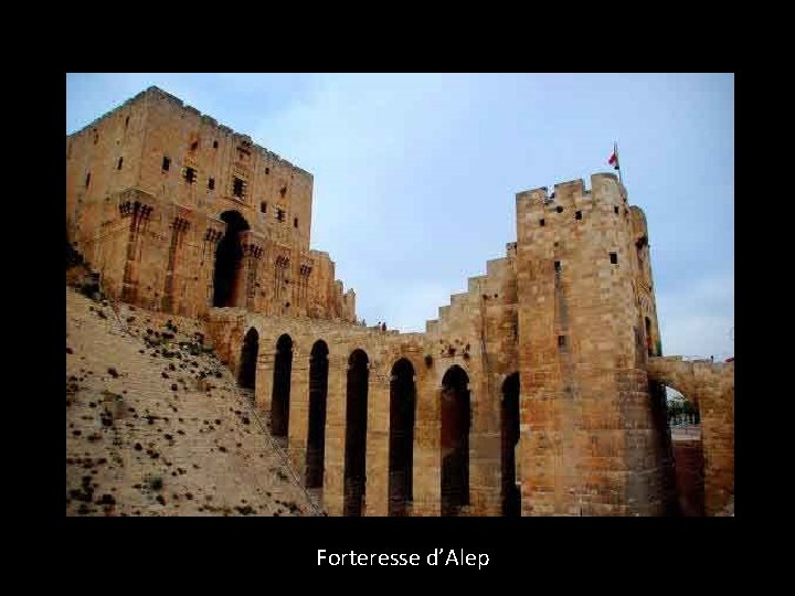 Forteresse d’Alep 