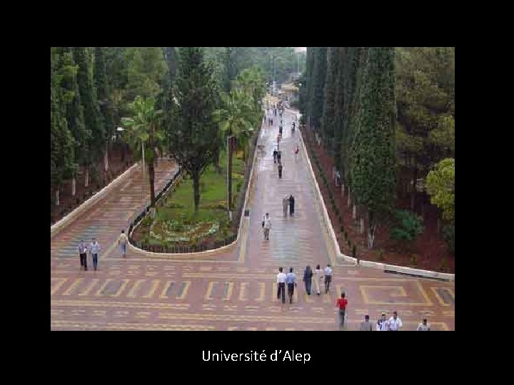 Université d’Alep 